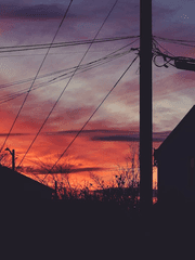 조 블랙의 사랑