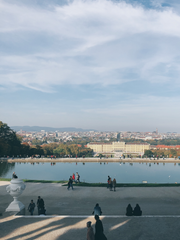 Their awkward Vienna waltz