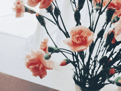 차라리 평생 모르는 게 나아