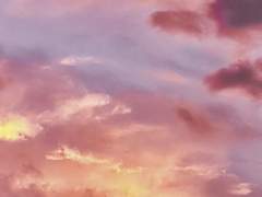 인생은 B와 D 사이 C