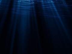 [드로저] Dear My Old Lover