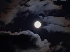 정신멀쩡합니다