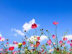 그러니까 내 말은!