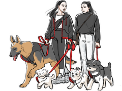 적벽 연성모음2