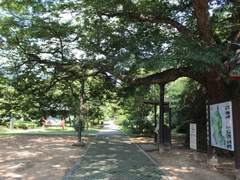 메타버스 자료조사