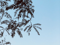 [국민] 우리 동네 전약국 #2.