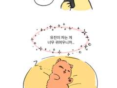 문대랑 큰세가 끼 EX 막내 사진 찍는 만화