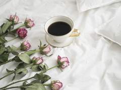 [산크히카] 우리는 앞으로도 계속, 함께