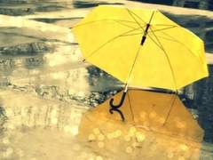 [은성수현] 우산 ☔
