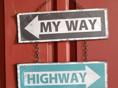 어느 곳에도 속하지 않는