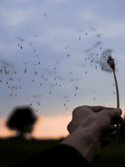 지금 너에게 닿을 수 있다면