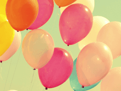 뮤혚 고양이 냄새