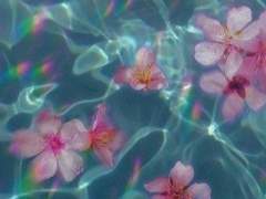 한줄기의 바람이 등골을 스치네.