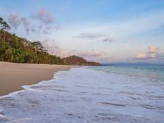 원수와 무인도에서