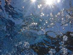 청아한/XY/2학년