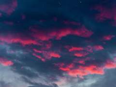 2022. 10. 26 [A Perfect Day]