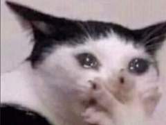 어쩌다보니 드래곤 마스터 3