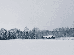 한 여름의 오타루 中