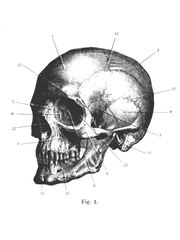 夏蟲不知氷 pt.3