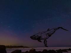 안녕, 아이(Ai) 02