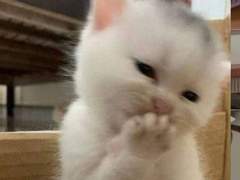 우리는 아방수가 이기는 세계관에 살고 있다.