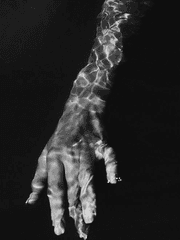 이반 O. 니콜라이