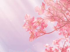 봄이란 것이 과연 있기나 한 것일까?