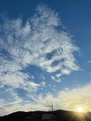 내일을 살아가는 이야기