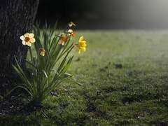 나 홀로 맞이하는 밤