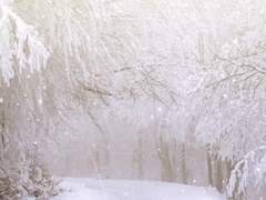 떠나기 전에 일러둘 말이 있던 것을