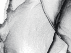 <시간의 경계선>