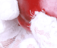 사이퍼즈 - 트리비아, 시바