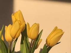 [통행금지] 더 이상 어린아이가 아니잖아