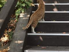 +57, 58 자발적 의사랍시도 헬스장에 가는 것이 옳은 일일까?