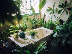 하게야마 케이지로 男 17