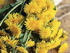 하늘이 보낸 편지