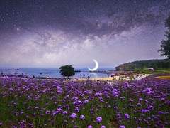 [뷔진] Psychedelic Moon (싸이키델릭문) 23