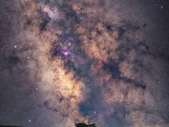 [청려문대] 문대 교통사고 회복 후 청려심리2