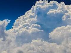 Diana C. Iris | 17 | 마법부