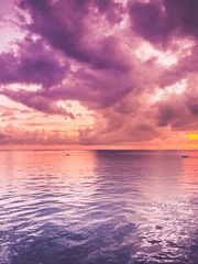 기억을 되찾으면