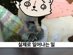 내가 왜 근력을 높게 찍었는지 아나?