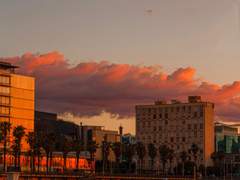 낙원의 이론 덕질 계정 부속 포스타입 관람 공지