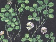 내 시간은 이곳에 머물 테니