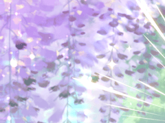 ✔️백스물한 번째 손님