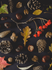 가을학기 짝사랑