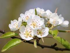 돌아오면 이름을 불러줘야지. 라고 다짐했는데,