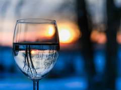 저희는 탐정이 아닌데요?!