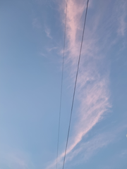 시호 중심 단편