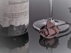 Monster Duke’s Mansion #02