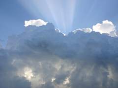 해수 / 해태 / 100